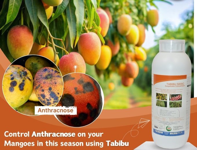 the best product we have in Growmax africa